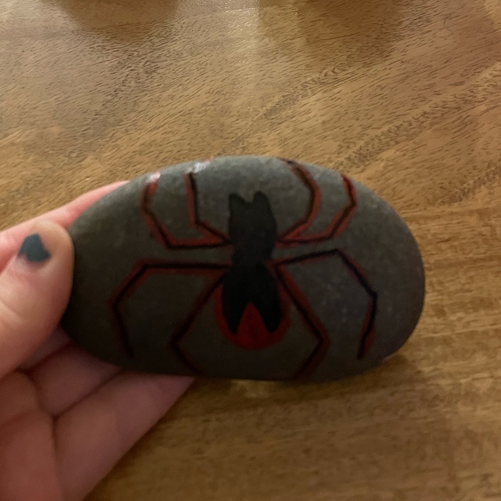 Spider decorated rock